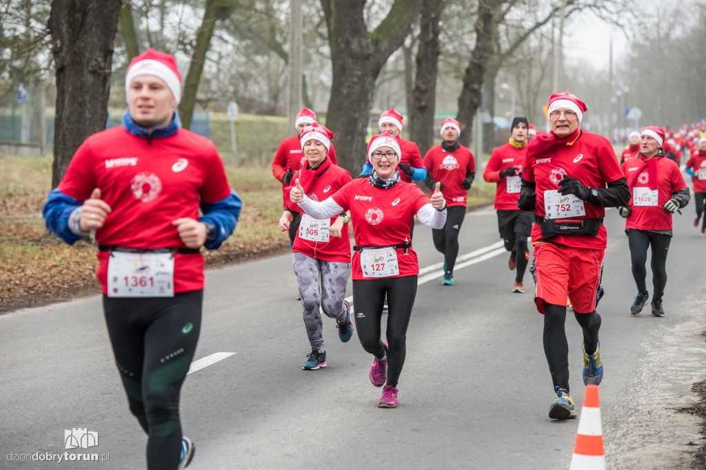 Torunianie na trasie półmaratonu