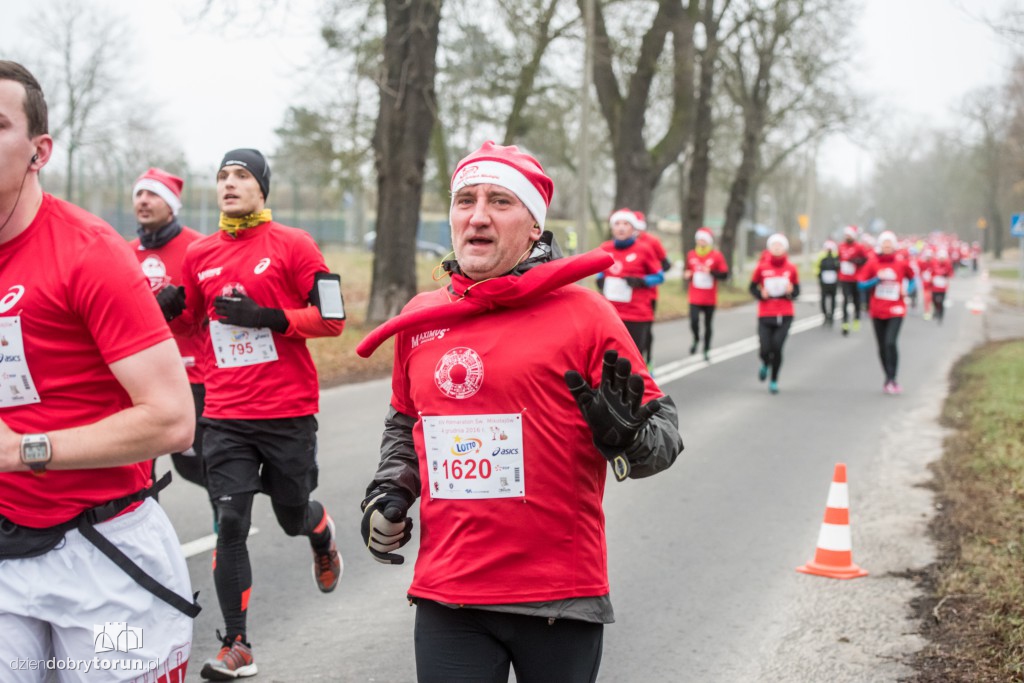 Torunianie na trasie półmaratonu