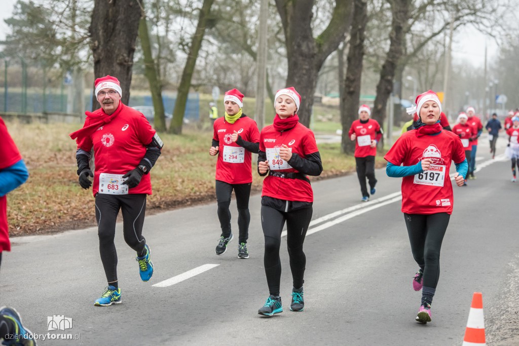 Torunianie na trasie półmaratonu