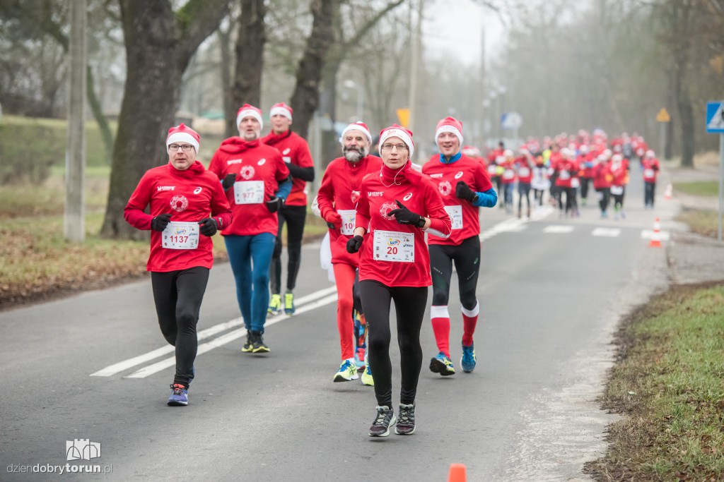 Torunianie na trasie półmaratonu