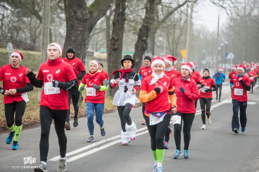 Torunianie na trasie półmaratonu