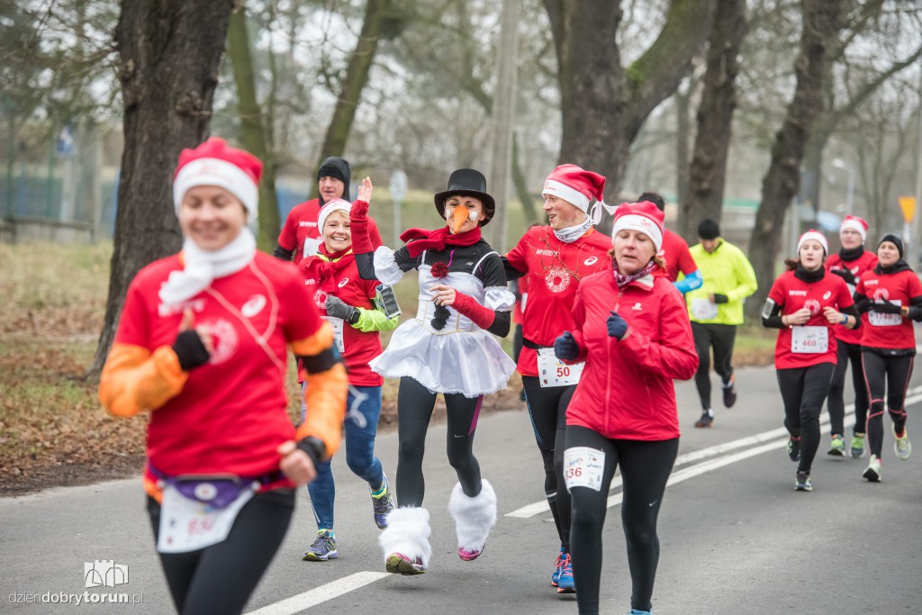 Torunianie na trasie półmaratonu