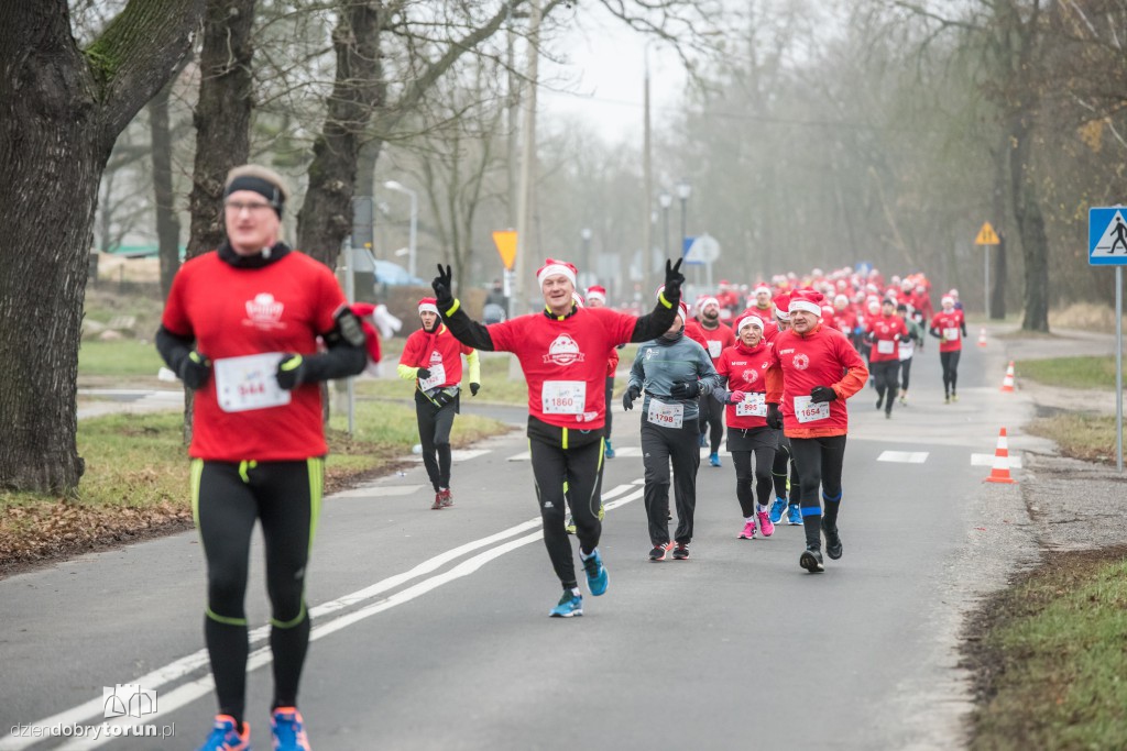 Torunianie na trasie półmaratonu