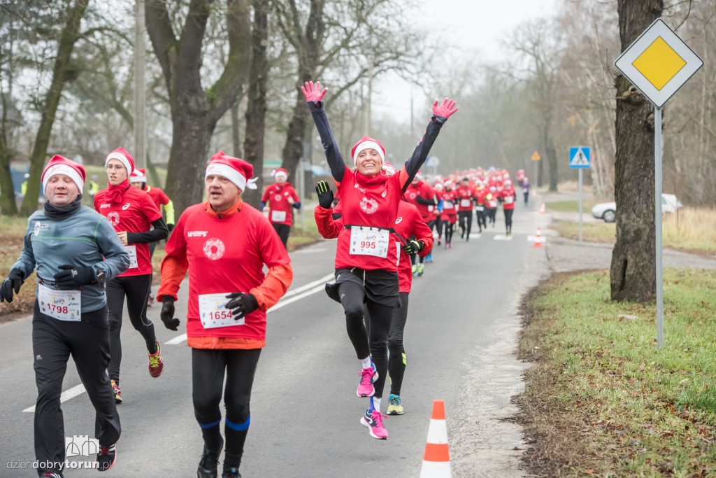 Torunianie na trasie półmaratonu