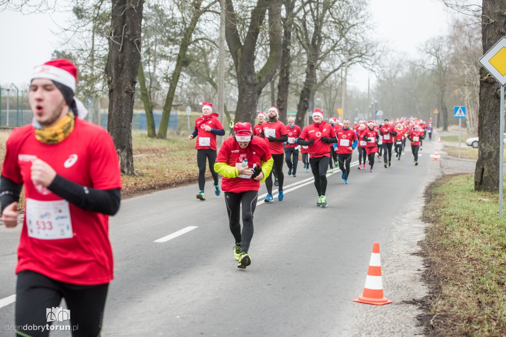 Torunianie na trasie półmaratonu