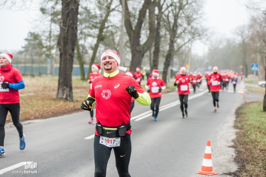 Torunianie na trasie półmaratonu