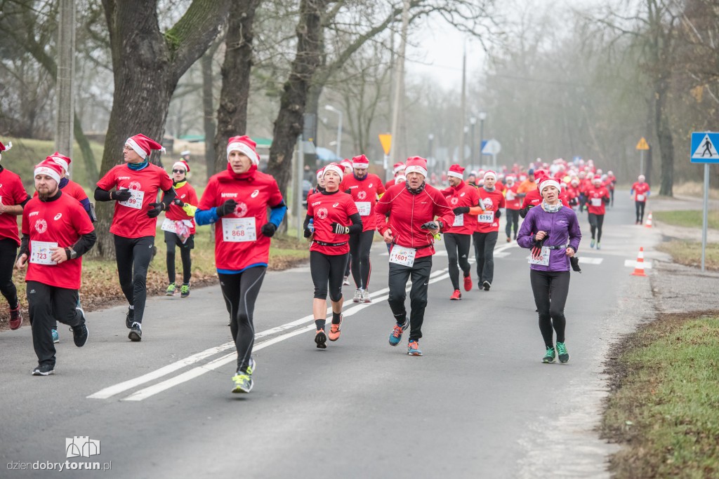 Torunianie na trasie półmaratonu