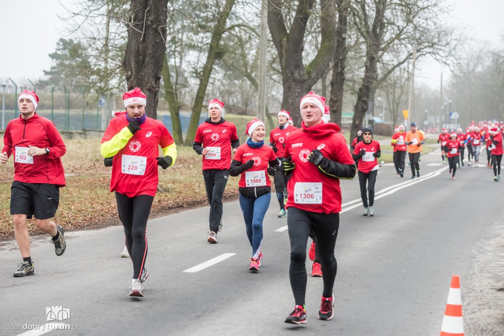 Torunianie na trasie półmaratonu