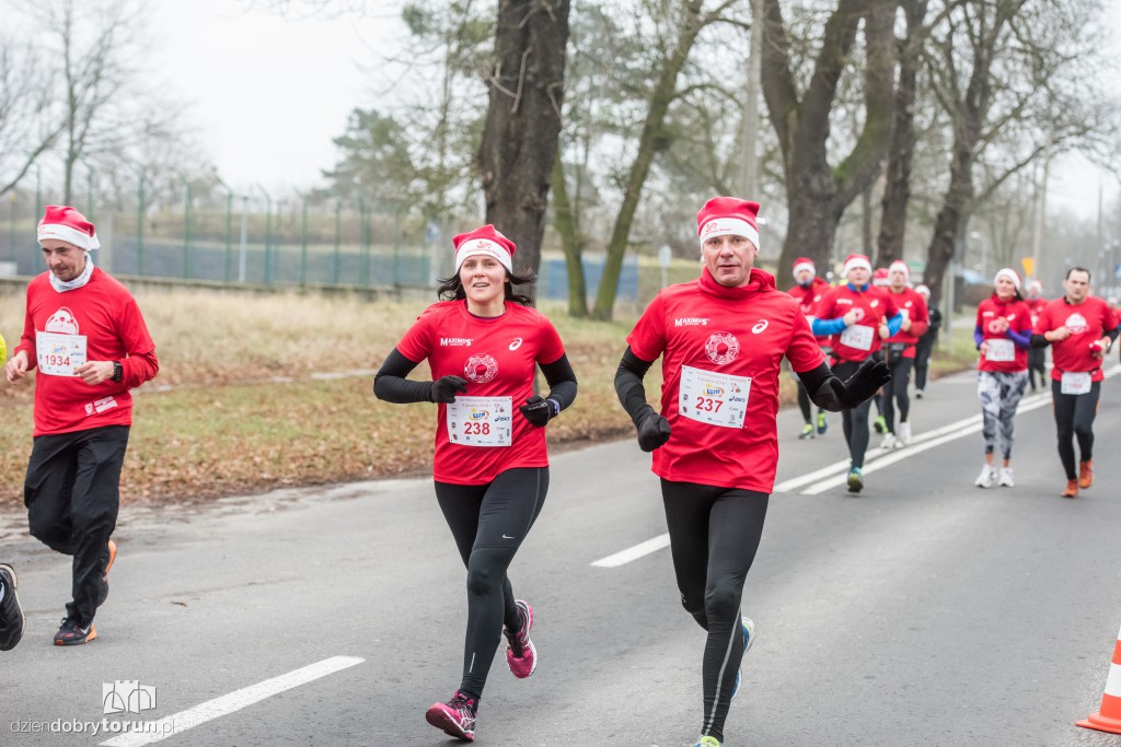 Torunianie na trasie półmaratonu