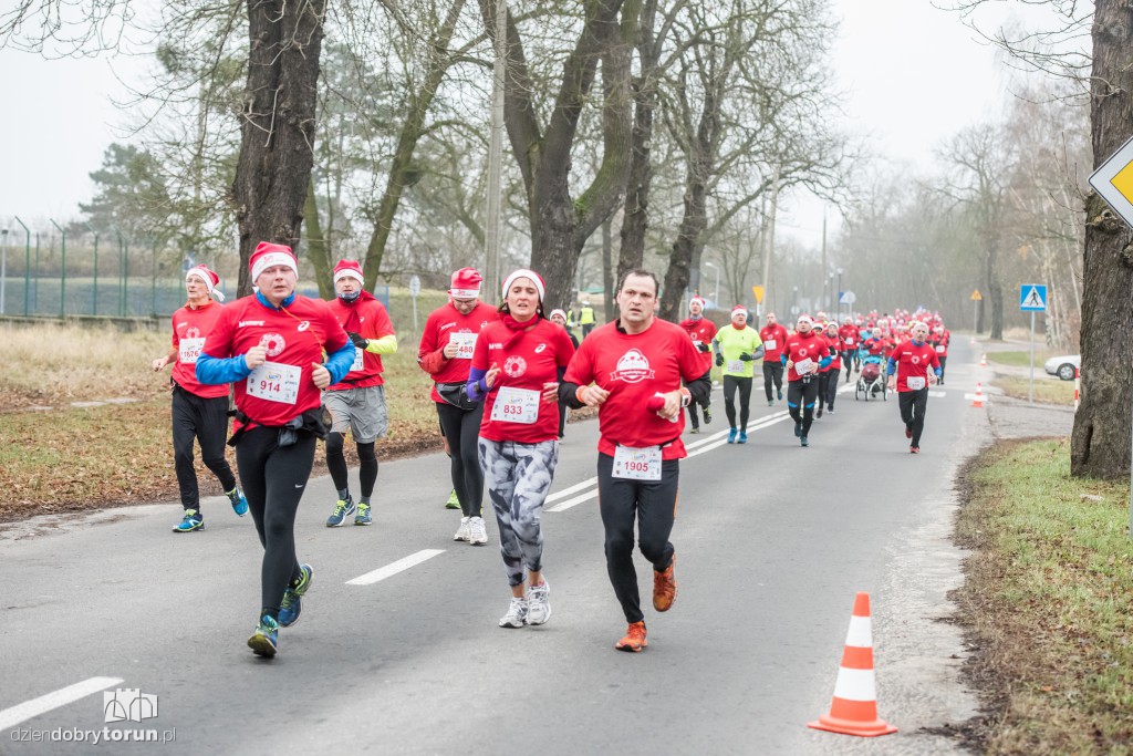Torunianie na trasie półmaratonu