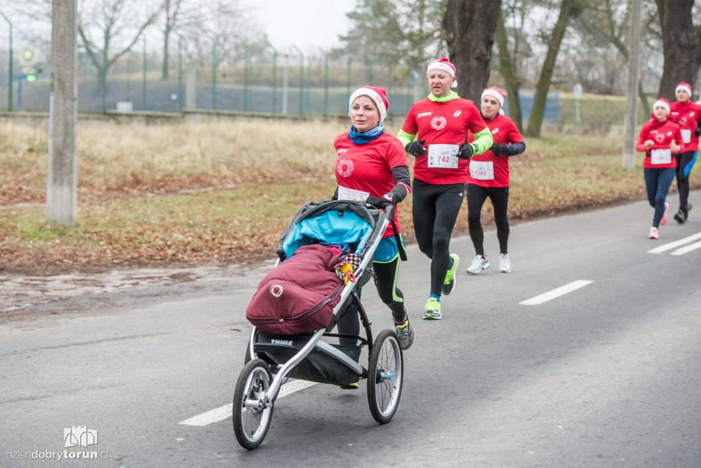 Torunianie na trasie półmaratonu
