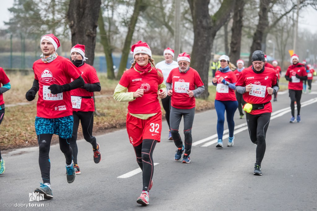 Torunianie na trasie półmaratonu