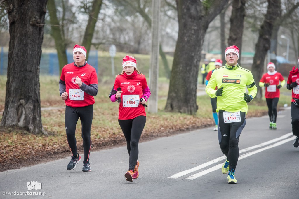 Torunianie na trasie półmaratonu