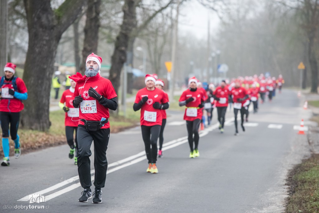 Torunianie na trasie półmaratonu