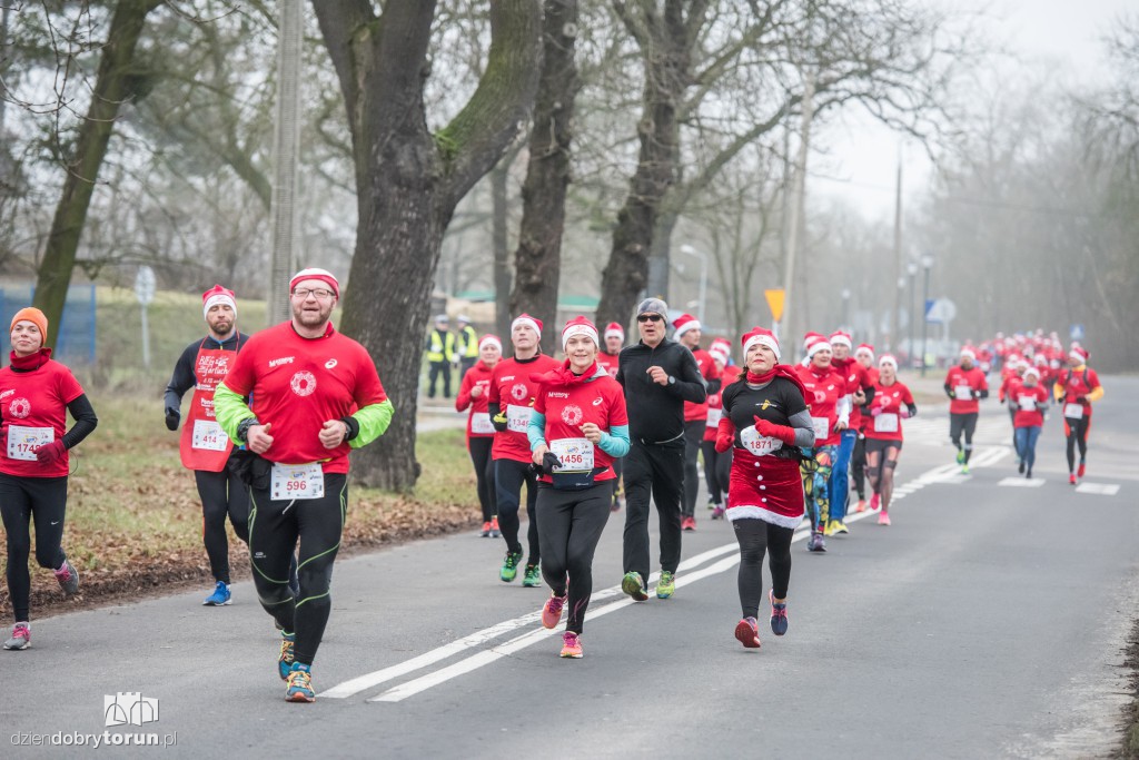Torunianie na trasie półmaratonu