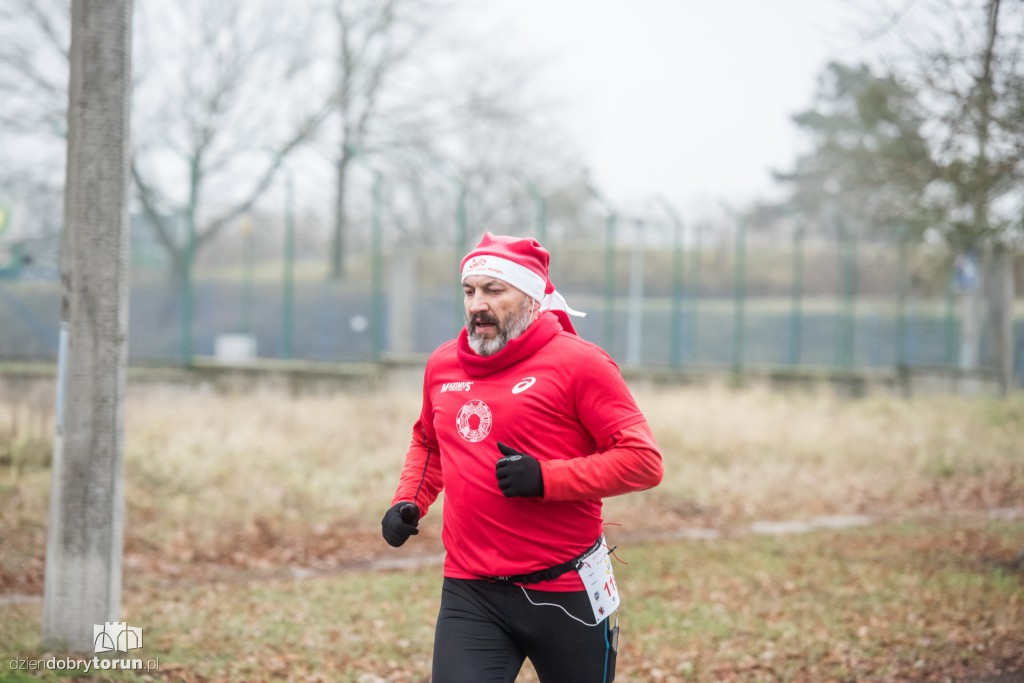 Torunianie na trasie półmaratonu