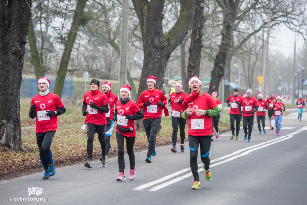 Torunianie na trasie półmaratonu