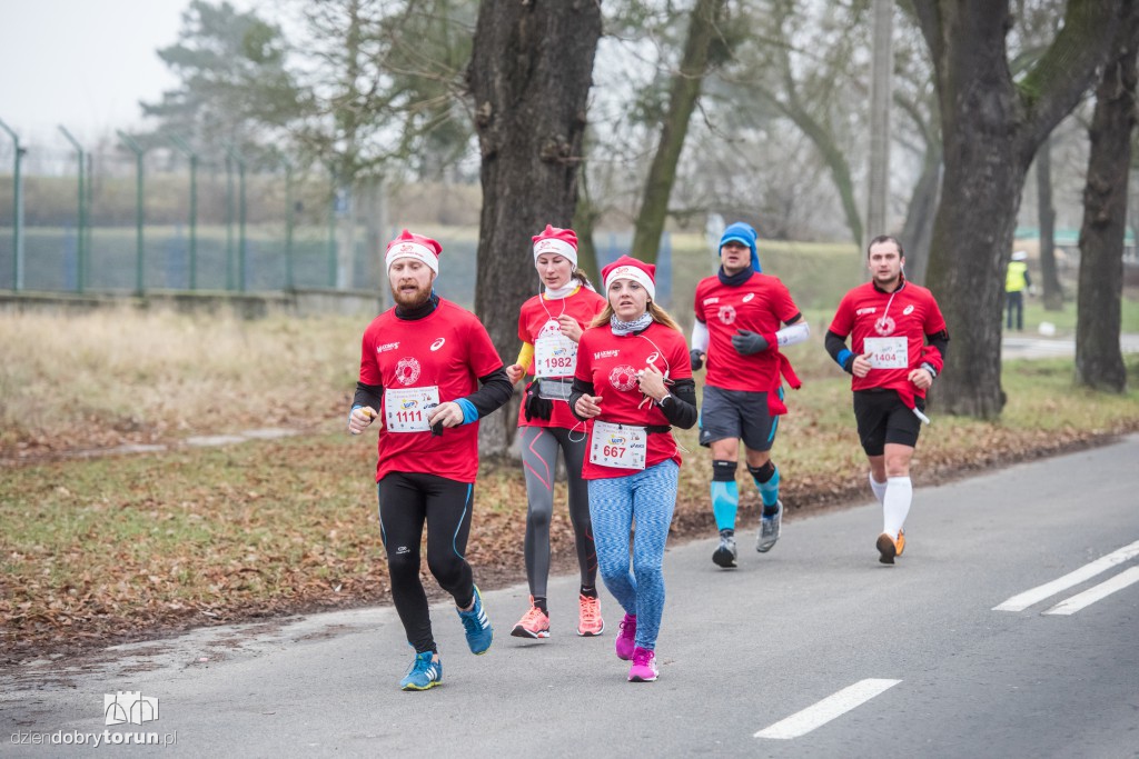 Torunianie na trasie półmaratonu