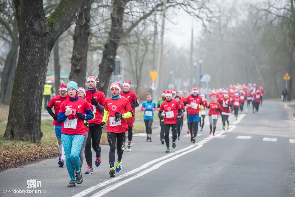 Torunianie na trasie półmaratonu
