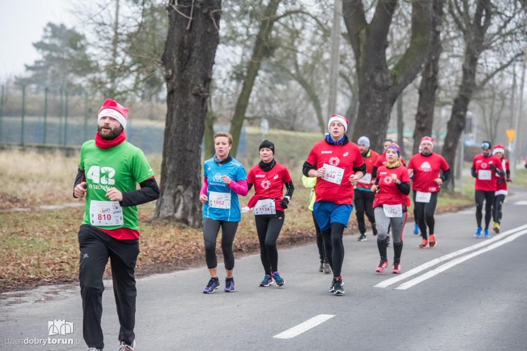 Torunianie na trasie półmaratonu