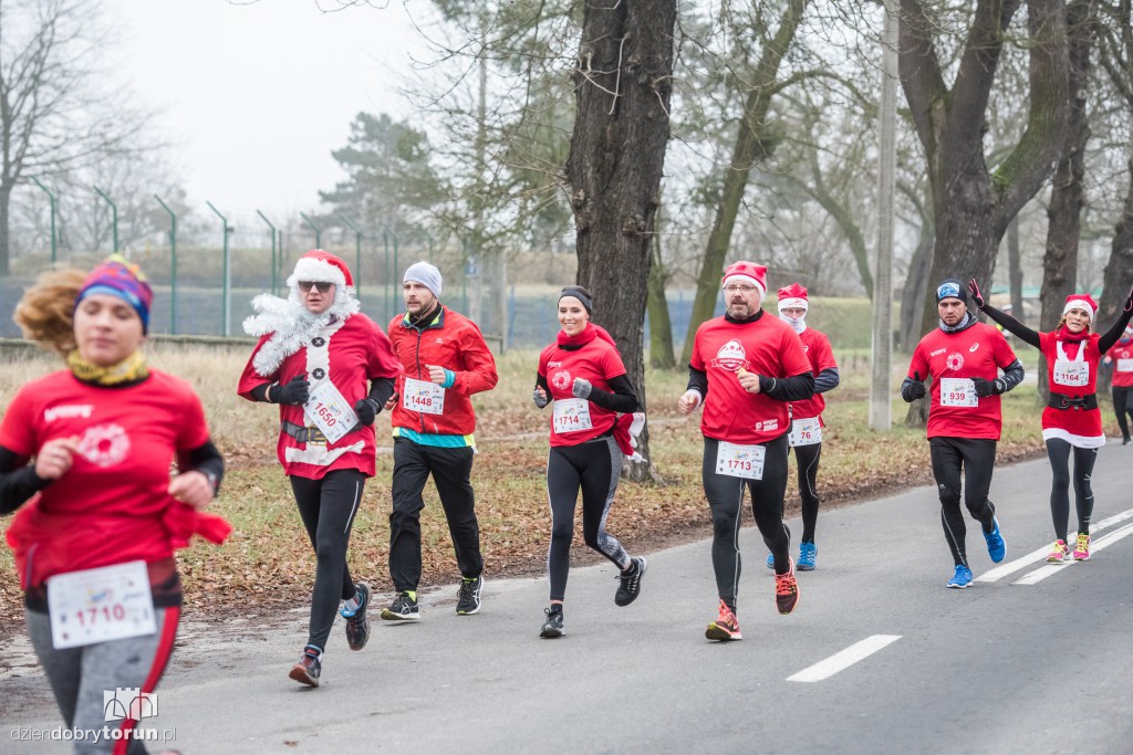 Torunianie na trasie półmaratonu