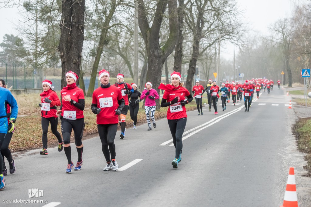Torunianie na trasie półmaratonu