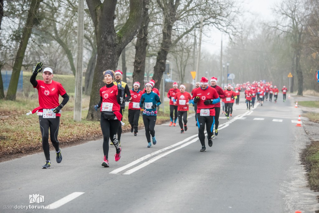 Torunianie na trasie półmaratonu