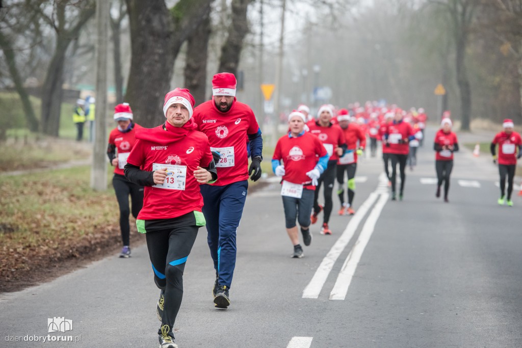 Torunianie na trasie półmaratonu