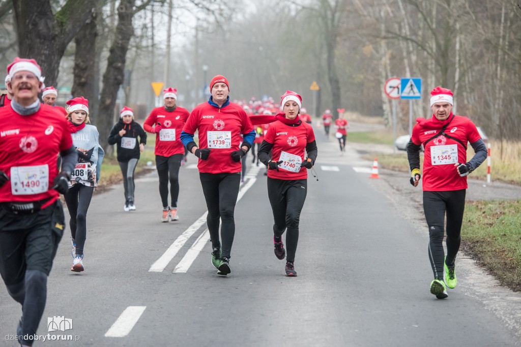 Torunianie na trasie półmaratonu