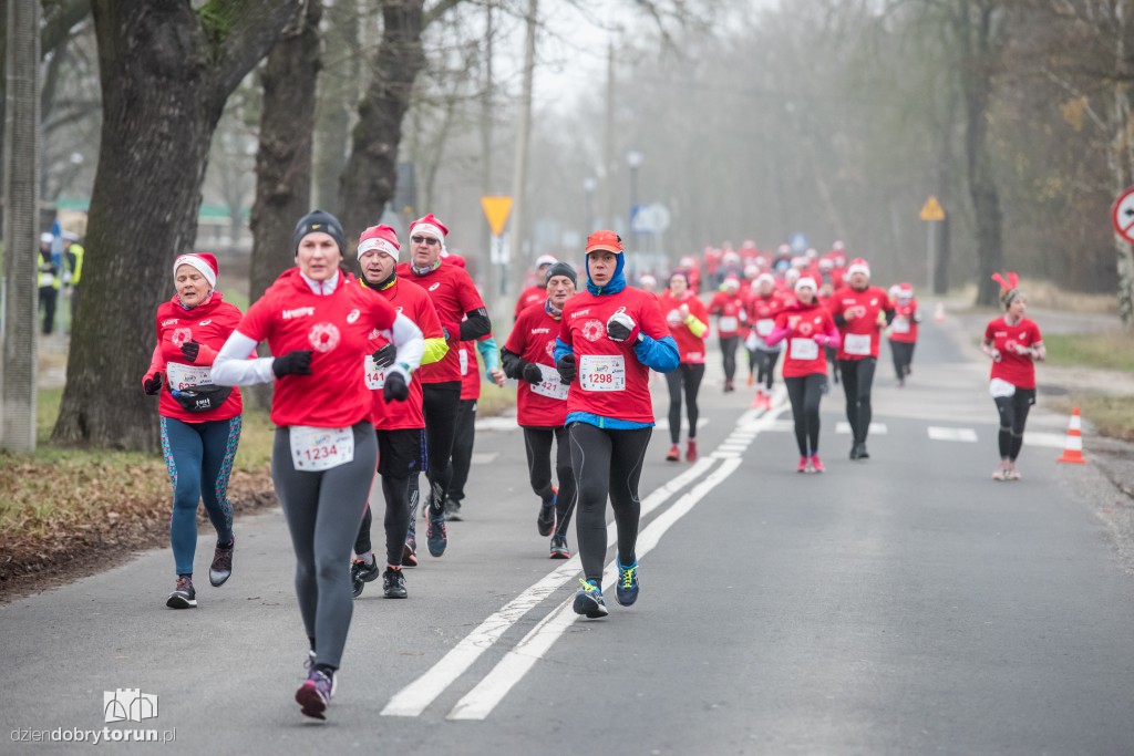 Torunianie na trasie półmaratonu