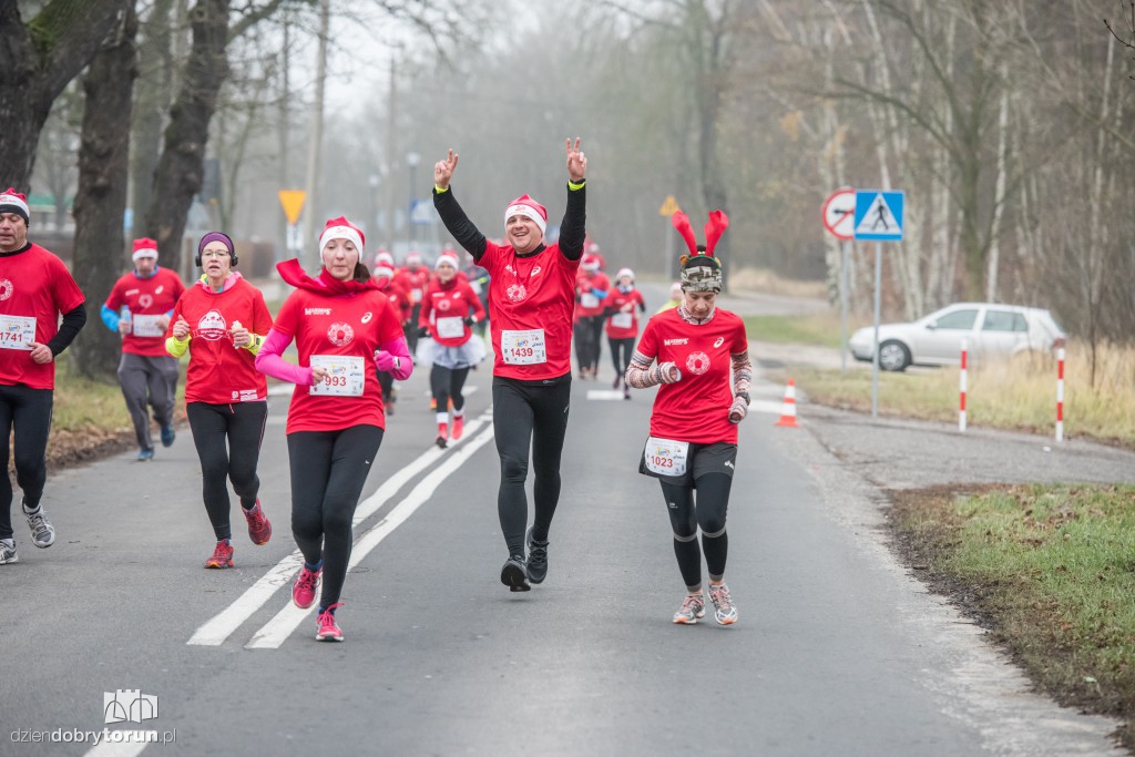 Torunianie na trasie półmaratonu