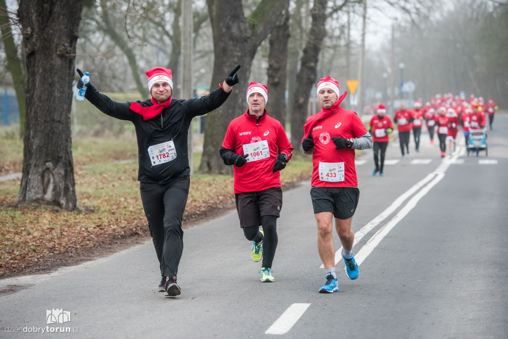 Torunianie na trasie półmaratonu