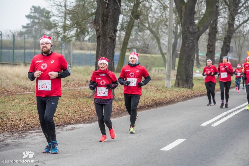 Torunianie na trasie półmaratonu