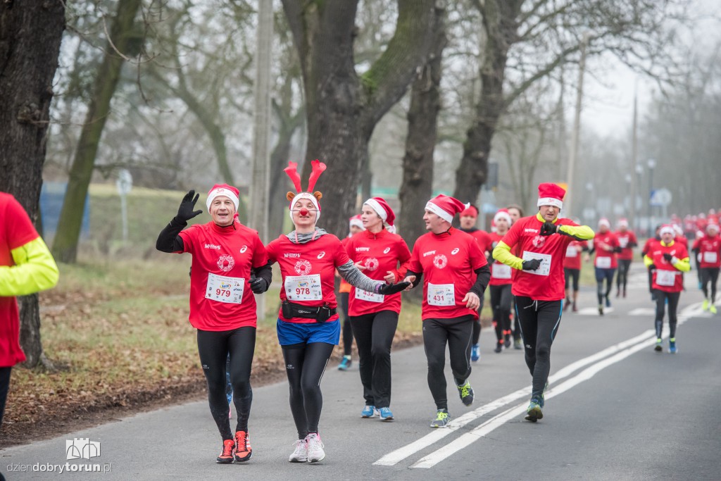 Torunianie na trasie półmaratonu