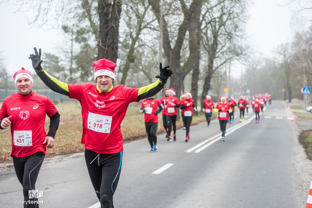 Torunianie na trasie półmaratonu