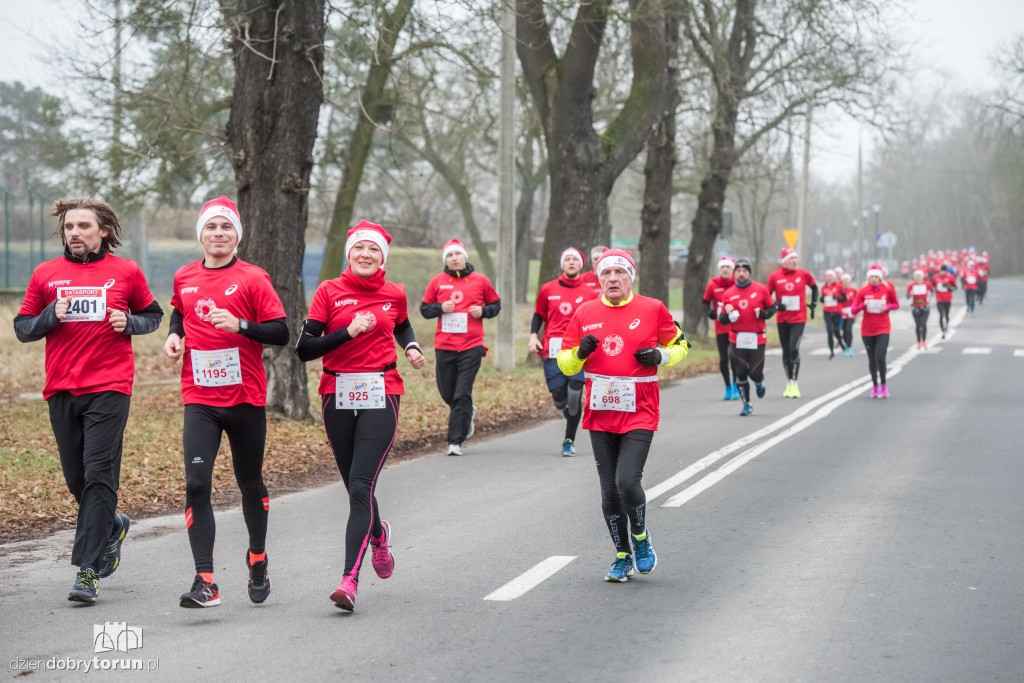 Torunianie na trasie półmaratonu