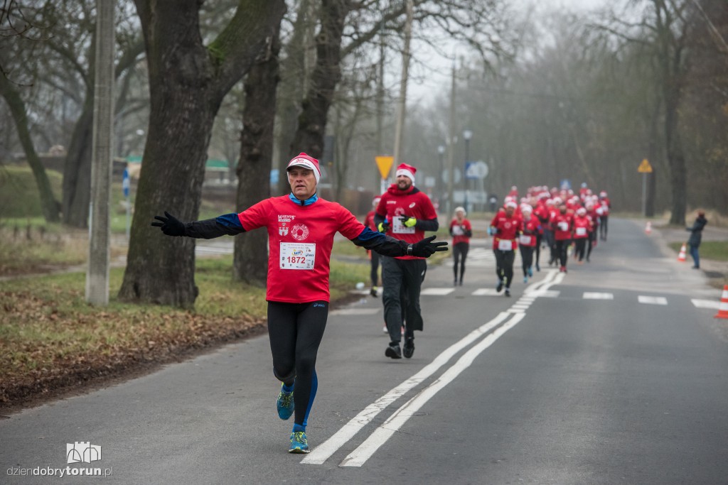Torunianie na trasie półmaratonu