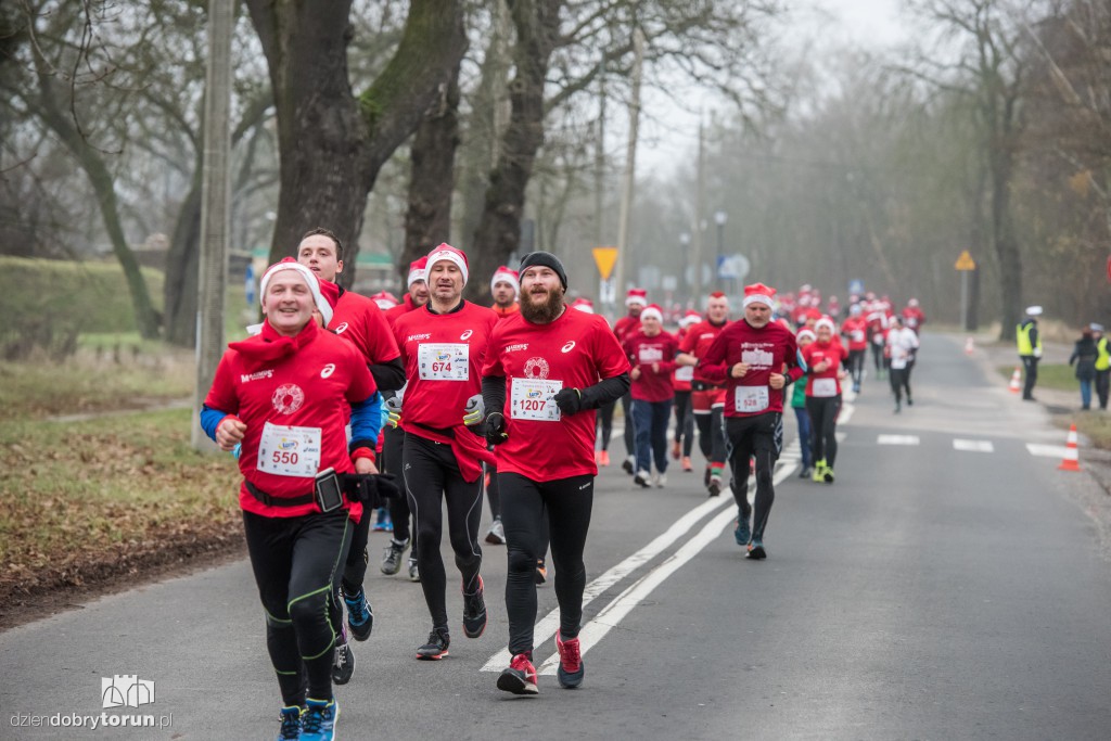 Torunianie na trasie półmaratonu
