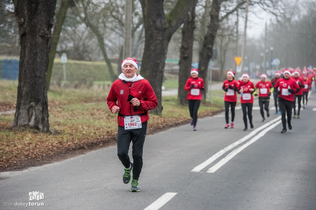 Torunianie na trasie półmaratonu