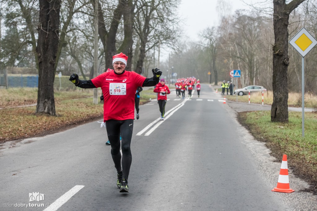 Torunianie na trasie półmaratonu