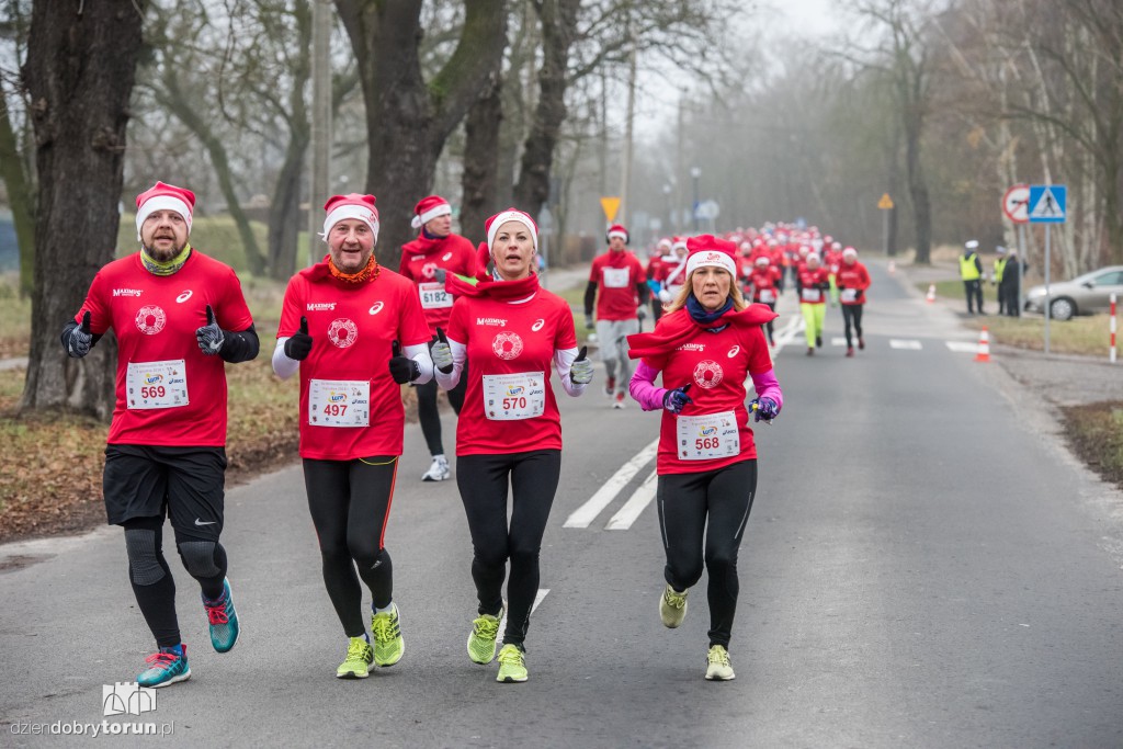 Torunianie na trasie półmaratonu
