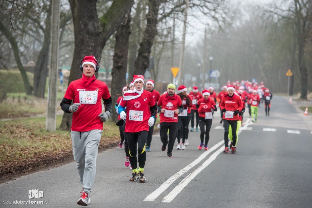 Torunianie na trasie półmaratonu