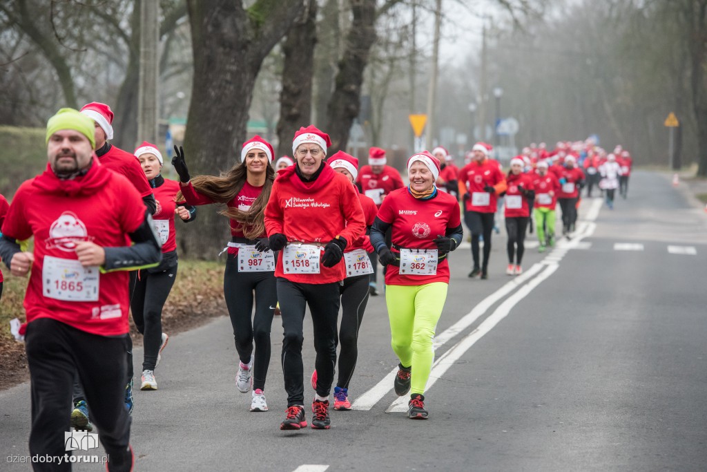 Torunianie na trasie półmaratonu