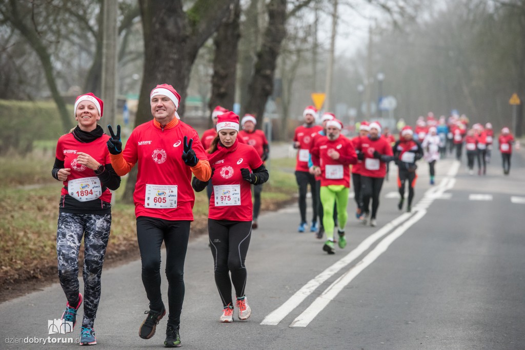 Torunianie na trasie półmaratonu
