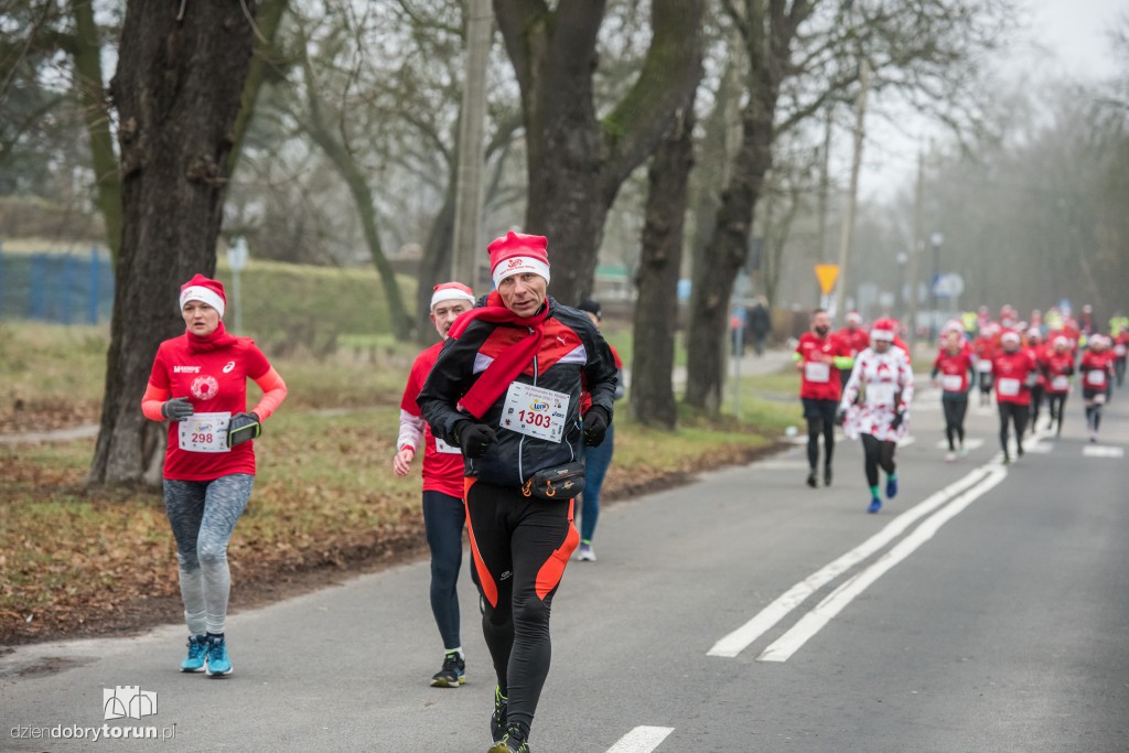 Torunianie na trasie półmaratonu