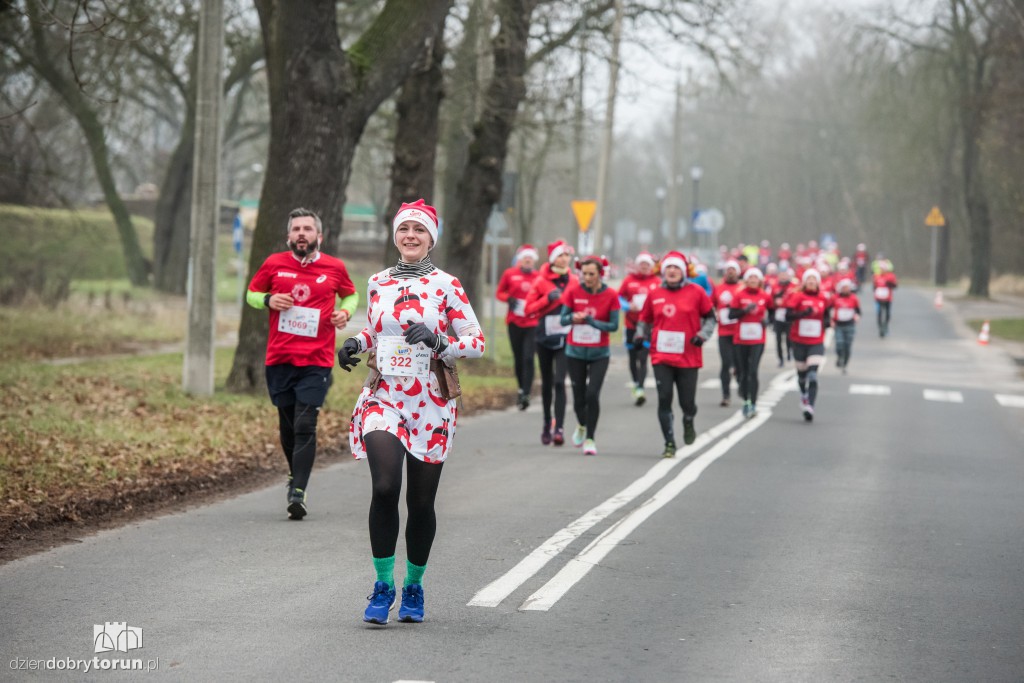 Torunianie na trasie półmaratonu