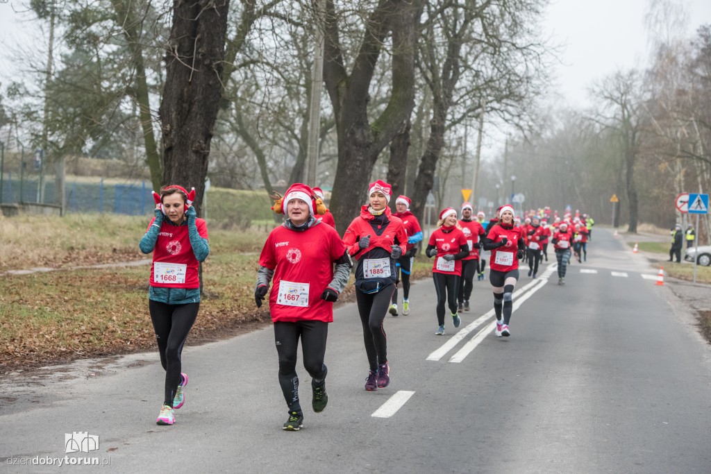 Torunianie na trasie półmaratonu