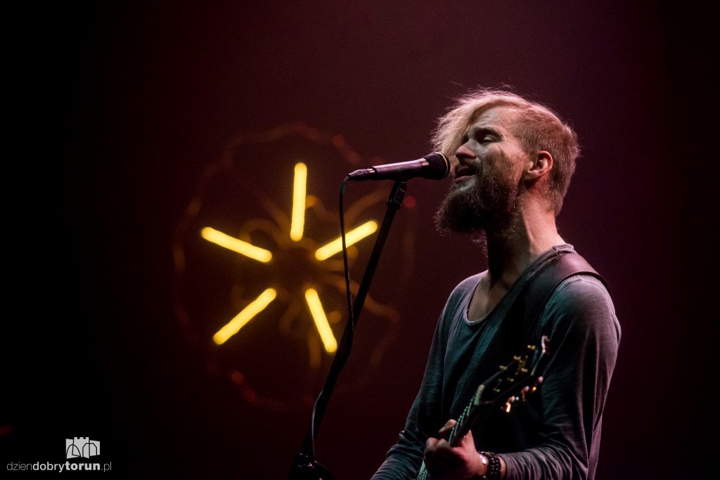 Organek na finał festiwalu LuLu