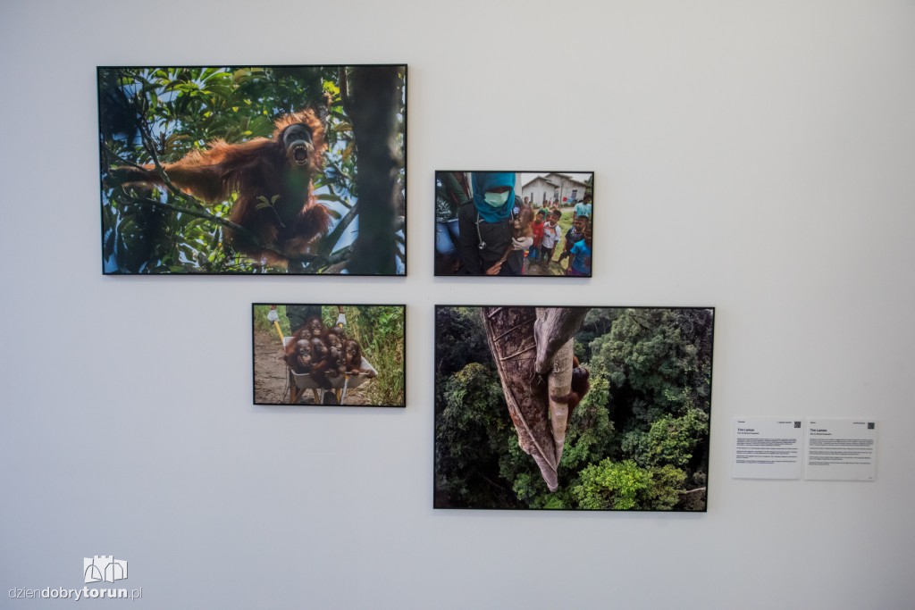 Wystawa World Press Photo w CSW