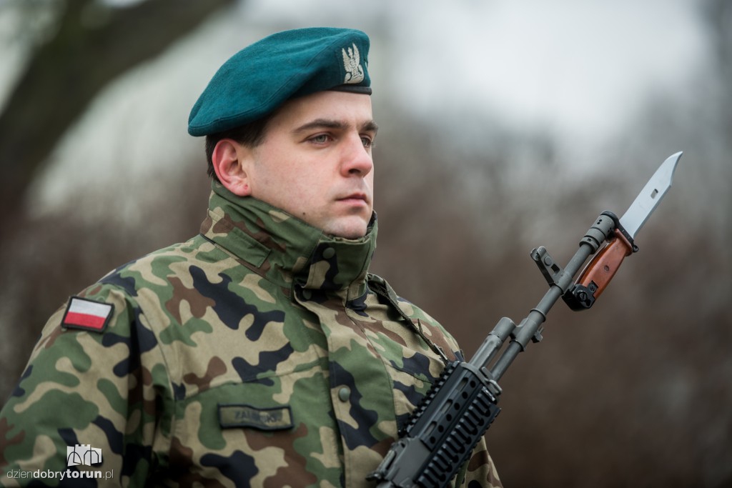 Obchody wyzwolenia Torunia